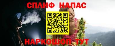 прущие грибы Усть-Джегута
