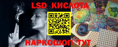 прущие грибы Усть-Джегута