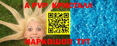 прущие грибы Усть-Джегута