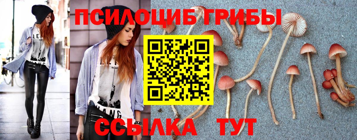 Артём  Псилоцибиновые грибы Magic Shrooms  Вход с VPN  Галлюциногенные грибы мицелий 