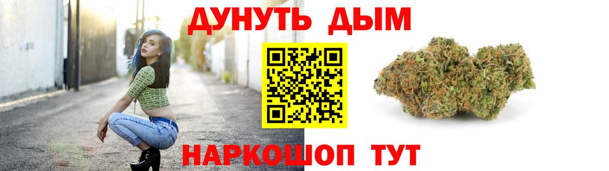 Конопля сатива Артём